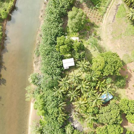 River Paradise Safari House With Cooking Class 达瓦拉维 外观 照片