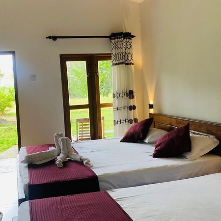 River Paradise Safari House With Cooking Class 达瓦拉维 外观 照片