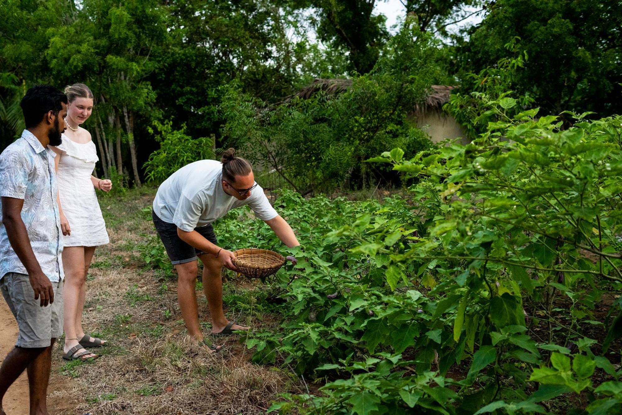 River Paradise Safari House With Cooking Class 达瓦拉维 外观 照片