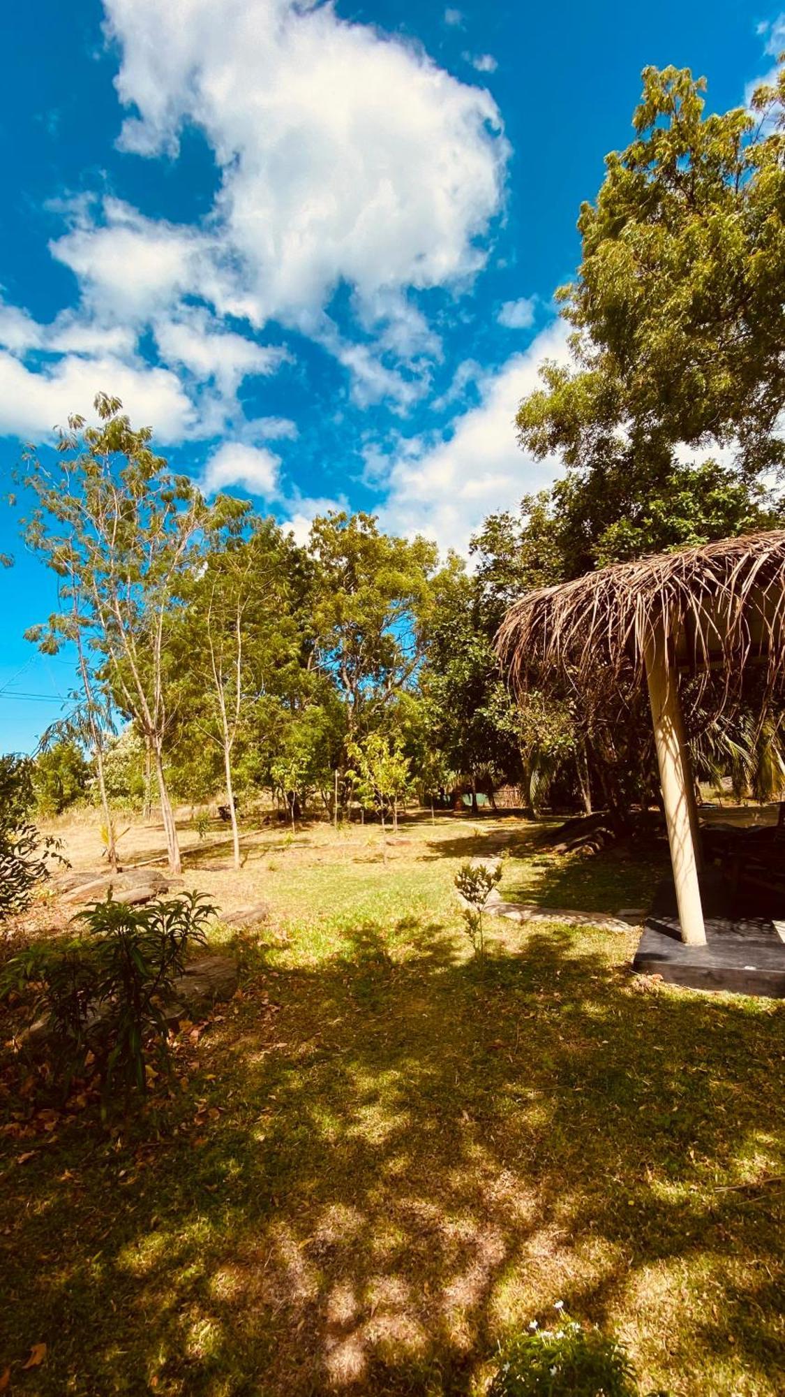 River Paradise Safari House With Cooking Class 达瓦拉维 外观 照片