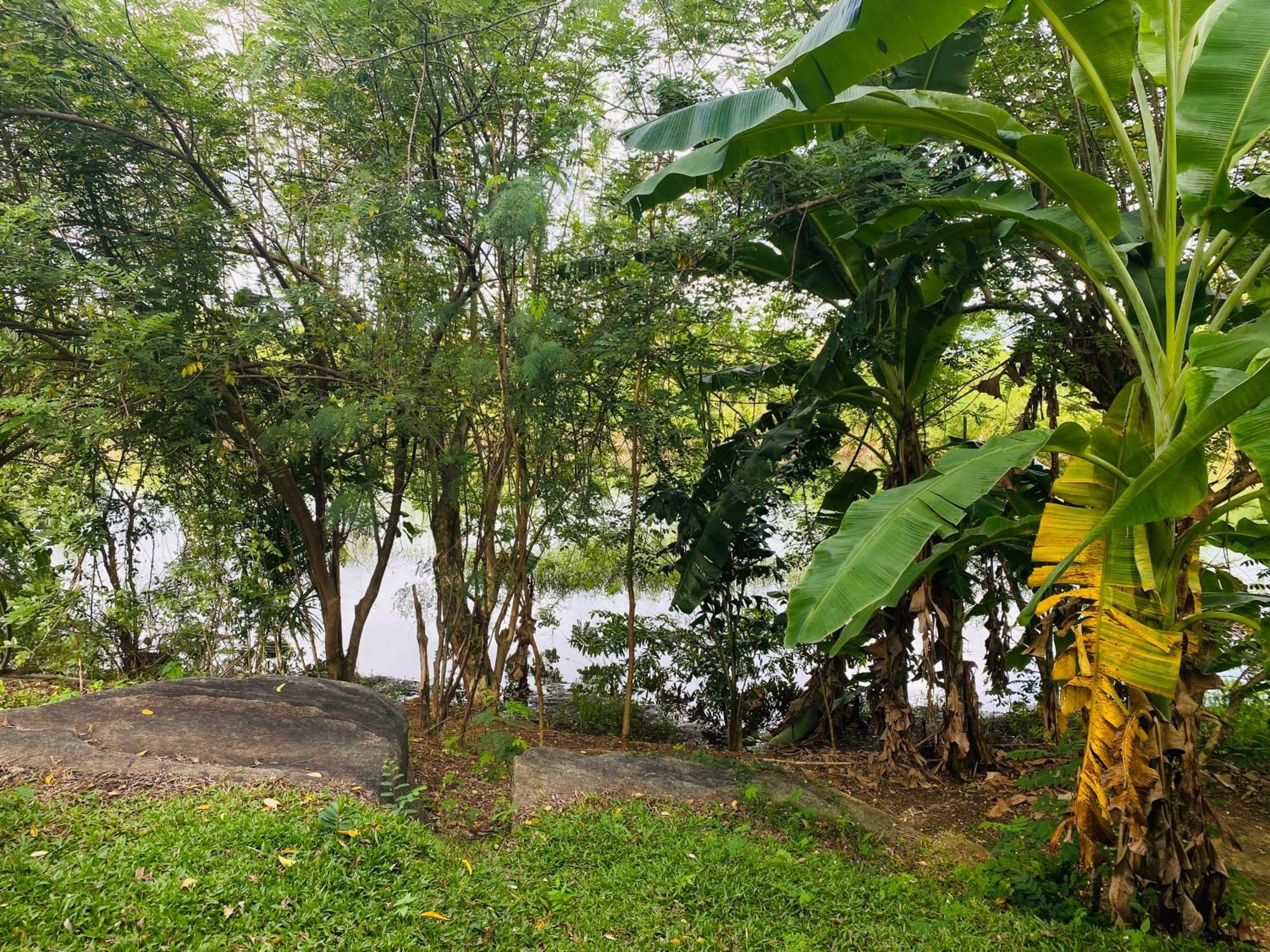 River Paradise Safari House With Cooking Class 达瓦拉维 外观 照片