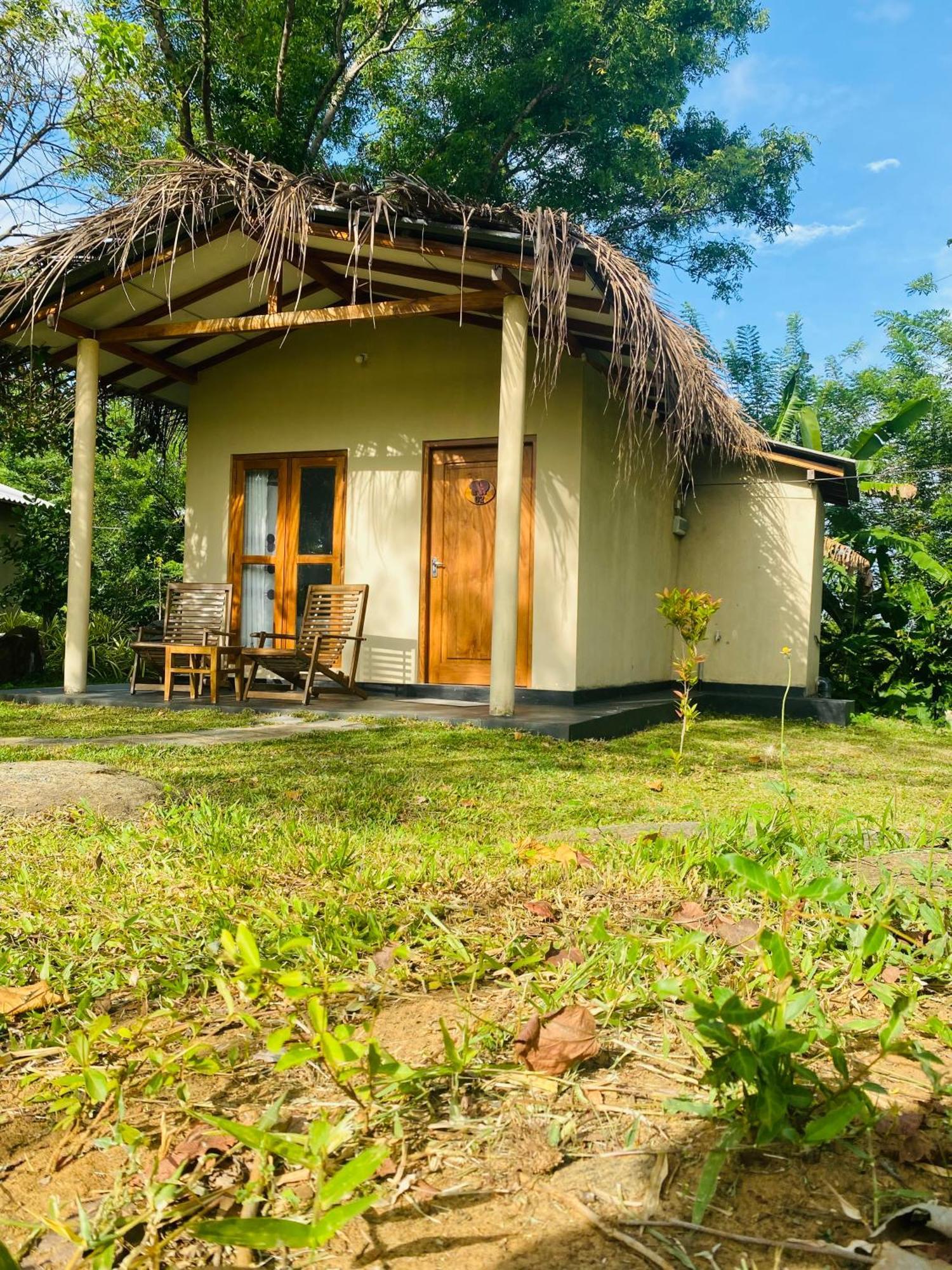 River Paradise Safari House With Cooking Class 达瓦拉维 外观 照片