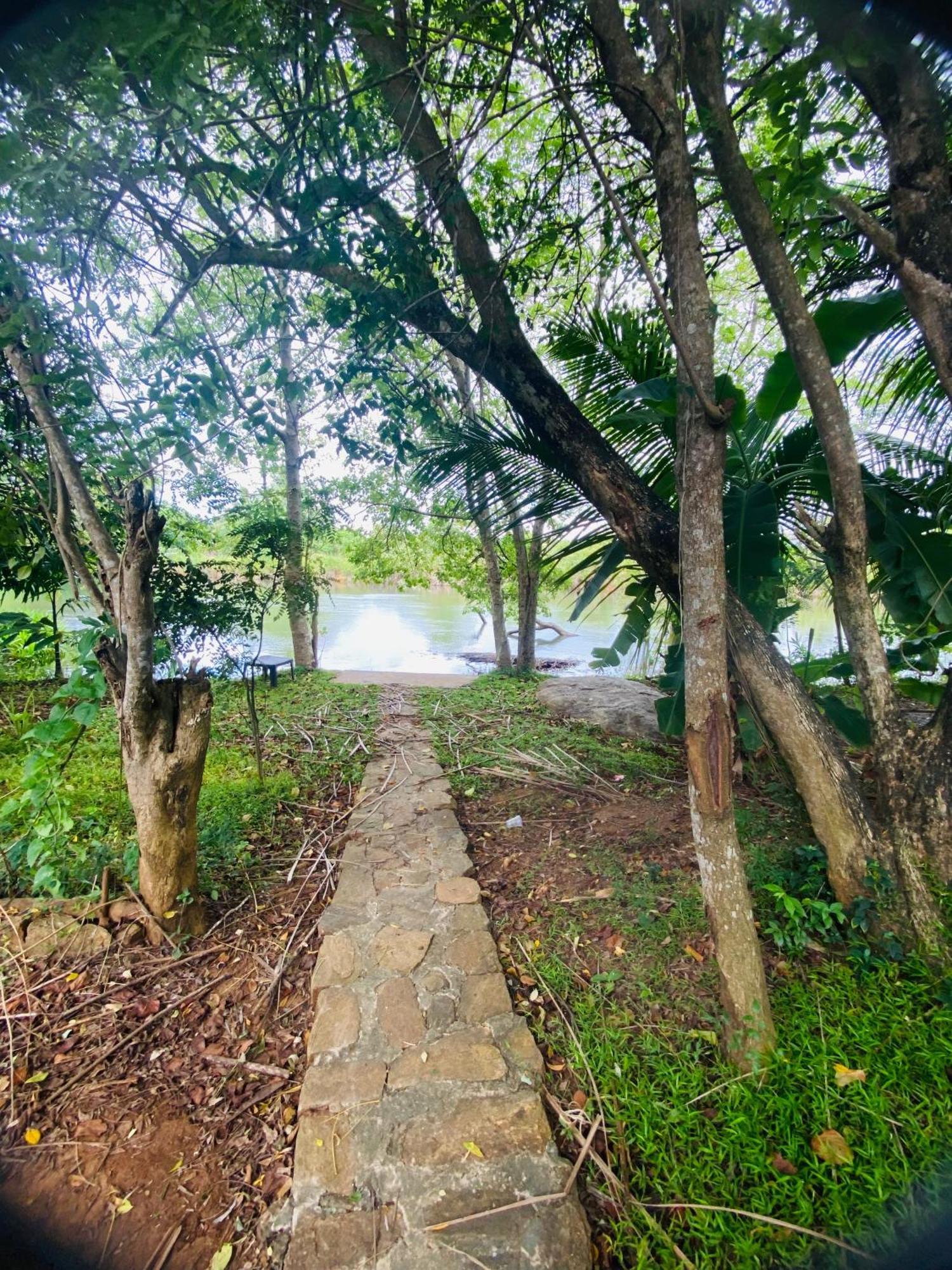 River Paradise Safari House With Cooking Class 达瓦拉维 外观 照片