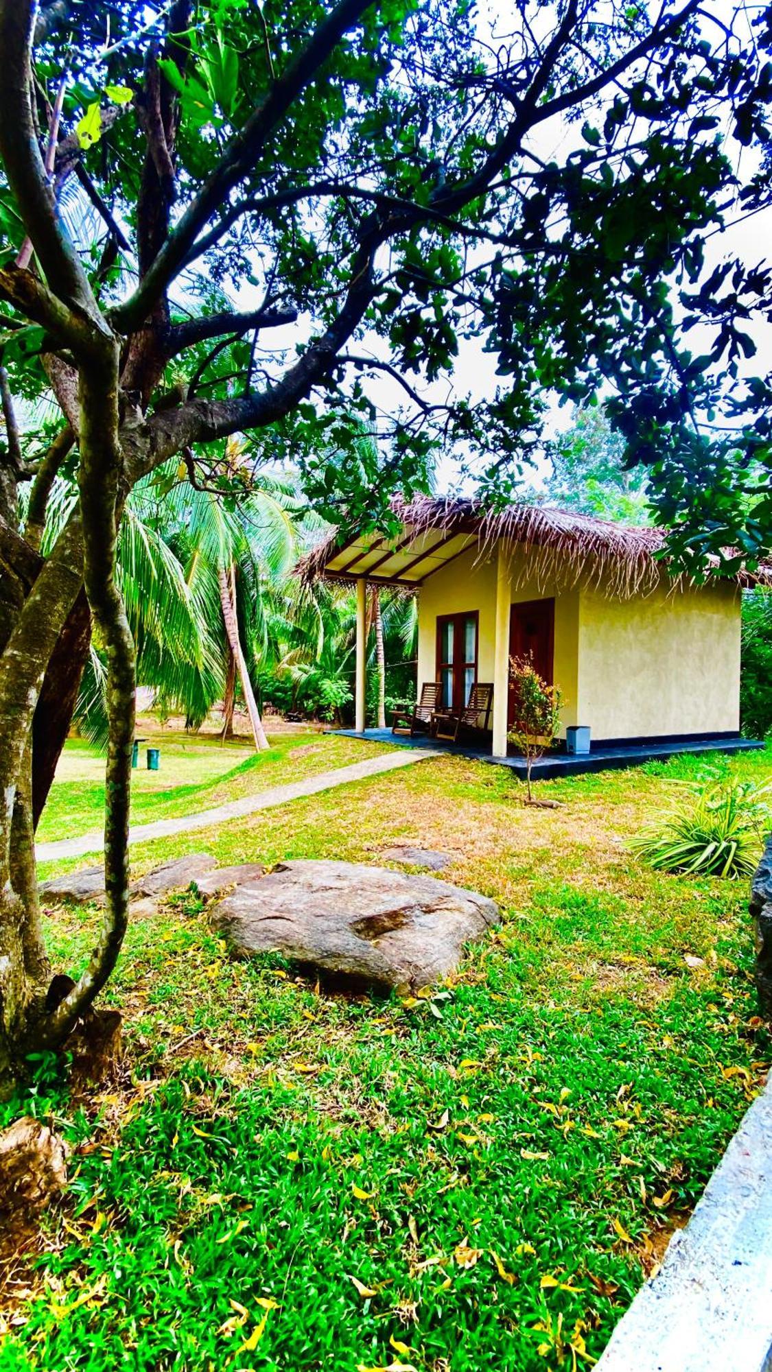 River Paradise Safari House With Cooking Class 达瓦拉维 外观 照片
